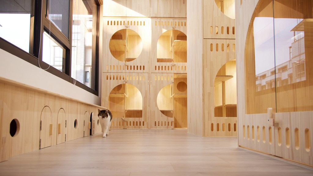 台中北屯，在太平的貓旅館，小守居內有全景大視窗貓房，提供每間客房絕佳的視野，寬敞放風區。